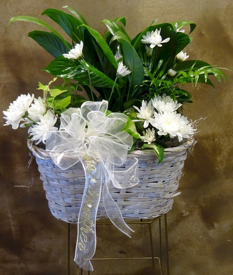 Flowers from "Grandmother"