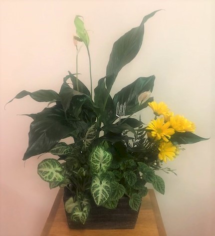 Flowers from The Shelton Family - Woody, Wes, and Mary
