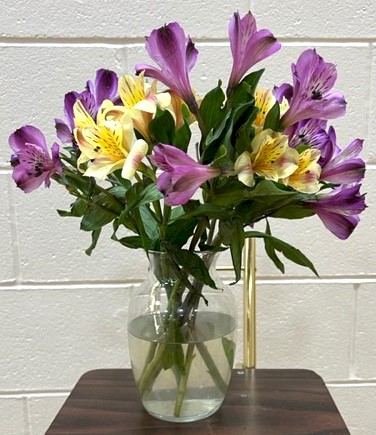 Flowers from Tamara Thorson