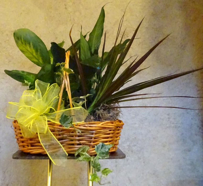 Flowers from Janice & Joel Sayler, Robert, Rita & Travis Jordan, Ray & Tanya Arbach & Family, and Bruce & Lisa Matter & Family
