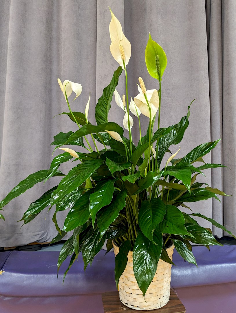 Flowers from Turntec Manufacturing