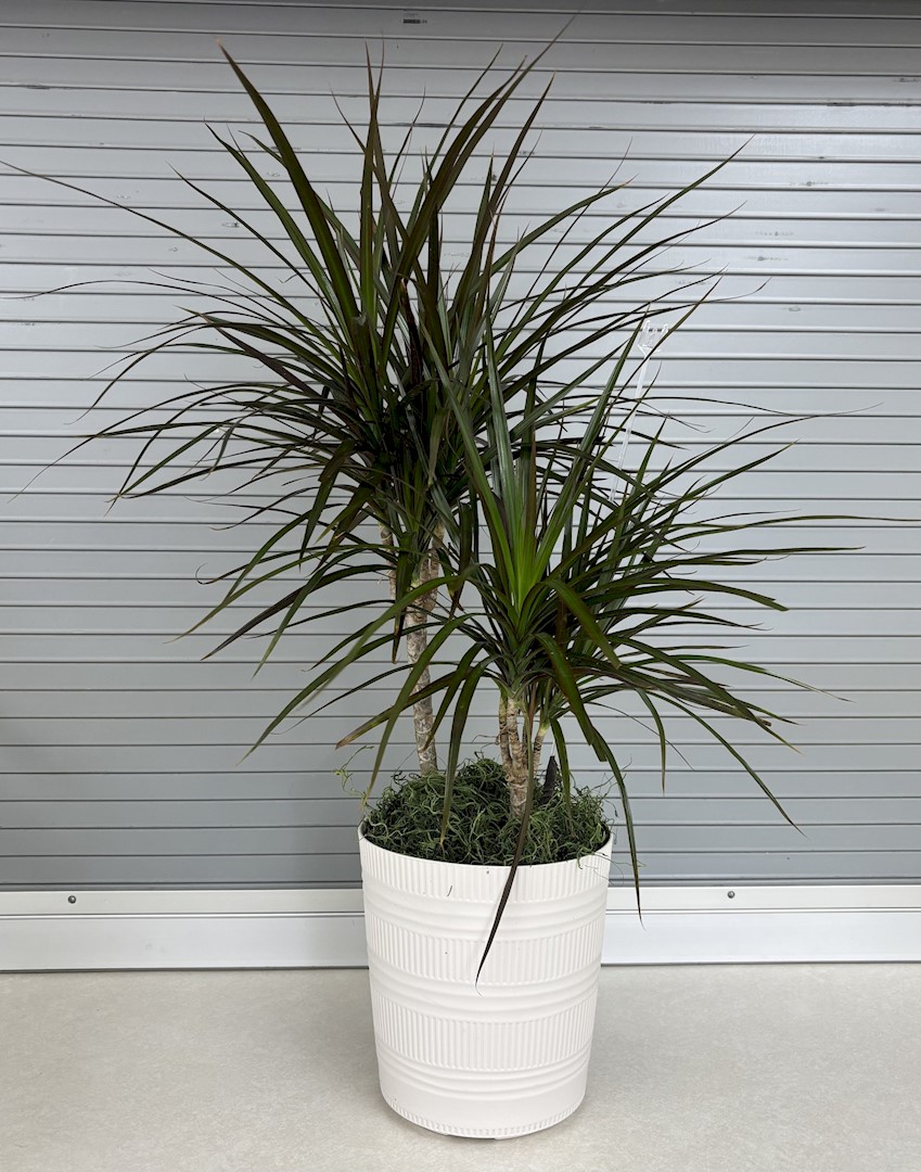 Flowers from CHS Philip Employees