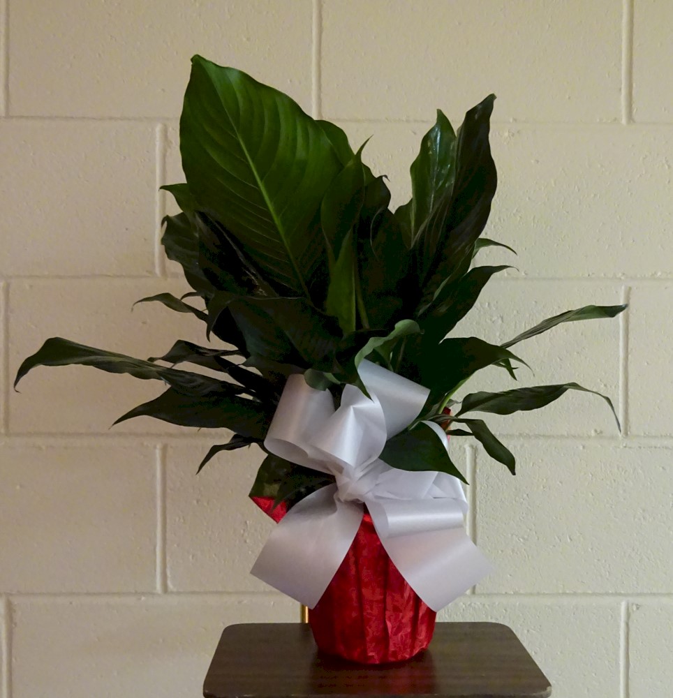 Flowers from Kadoka Ambulance Crew