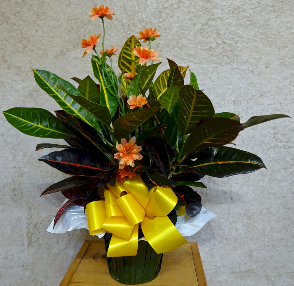 Flowers from Wall School Faculty, Staff, and Administration