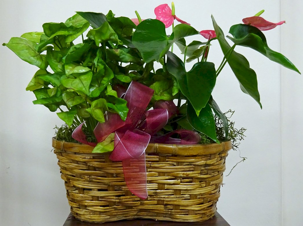 Flowers from Cathie Handcock and Family