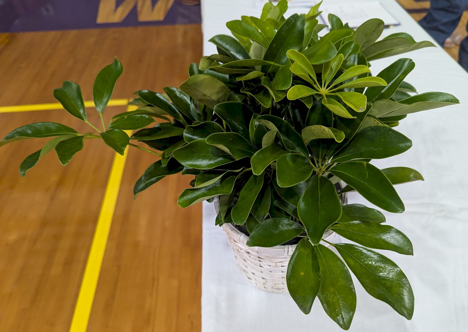 Flowers from Kadoka Nursing Home Staff, Residents, and Board of Directors
