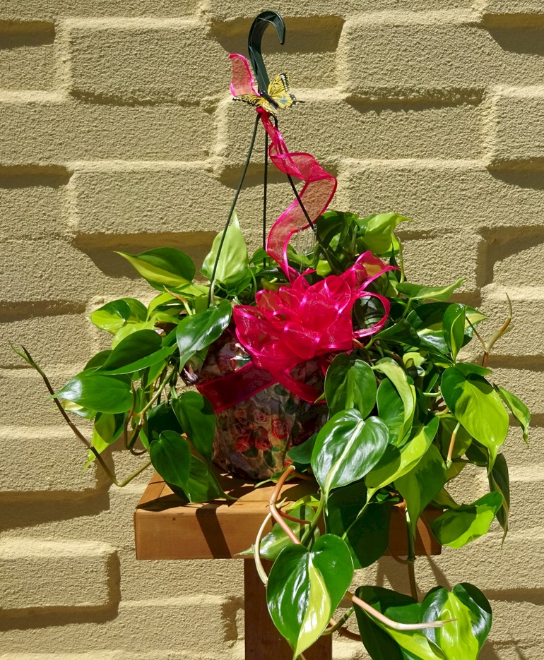 Flowers from Class of 1977