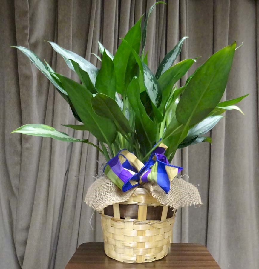 Flowers from Avera McKennan Hospital and University Health Center