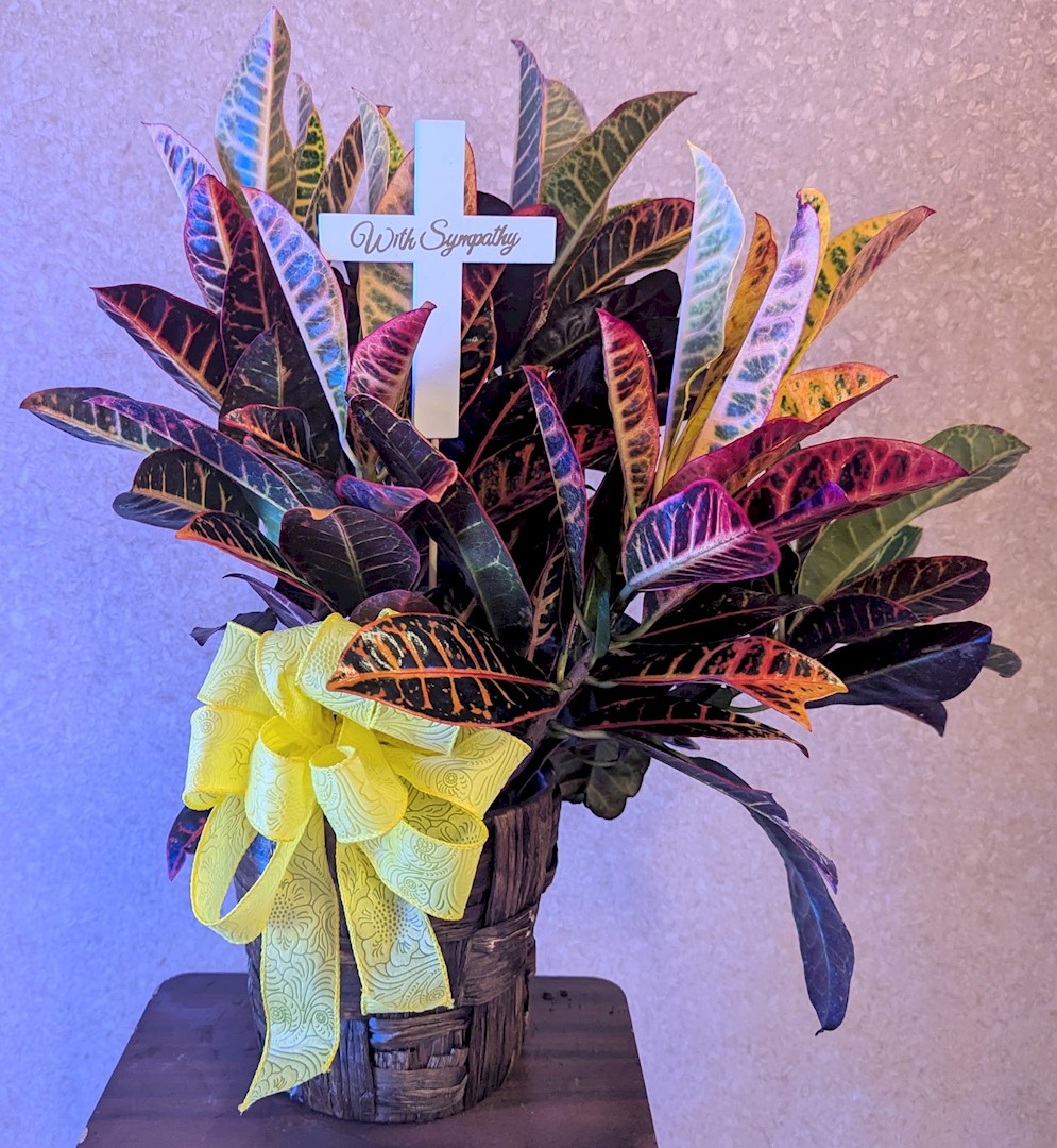 Flowers from E Free Church Family