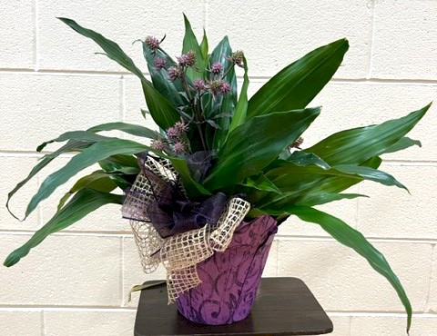 Flowers from The Berd Family