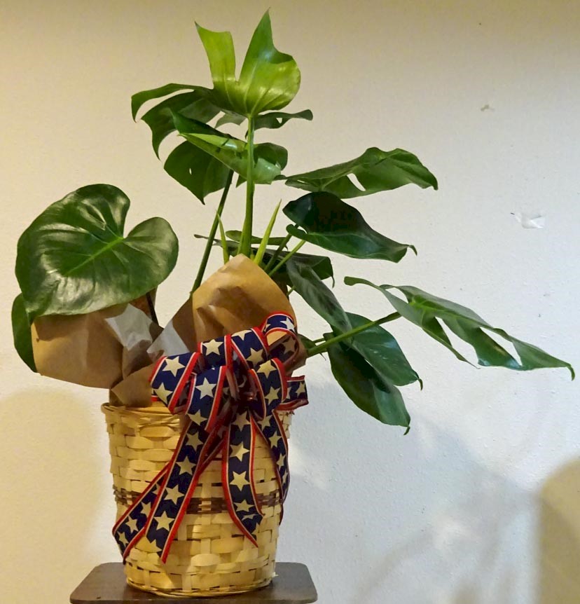 Flowers from Rushmore Electric Power Directors and Employees