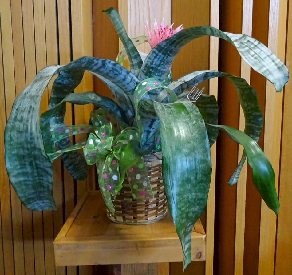 Flowers from The Employees of NW Pipe Fittings