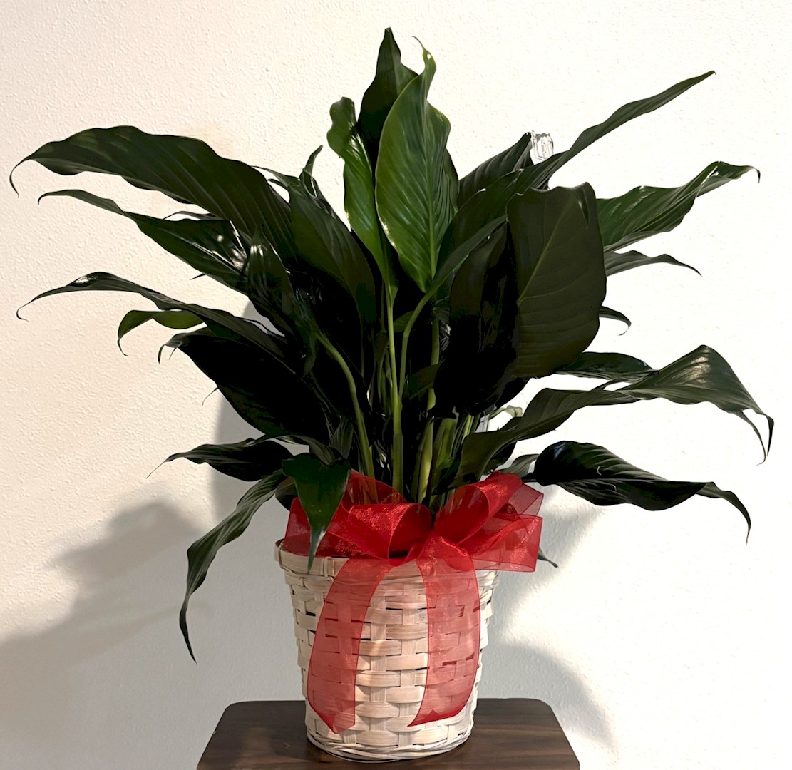 Flowers from Security 1st Bank Directors and Employees