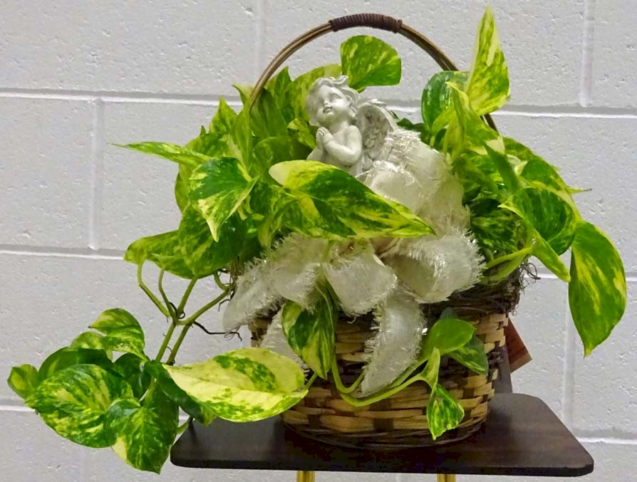 Flowers from Judy Griffith and Mazee Pauley