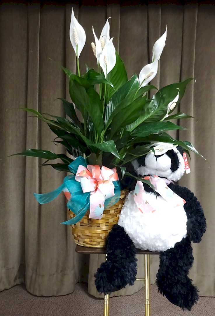 Flowers from Mr. Erfman