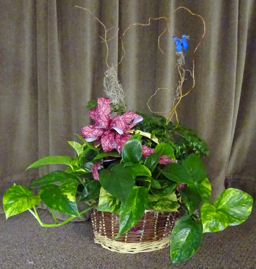 Flowers from Clark Willow Lake Wrestling Booster Club