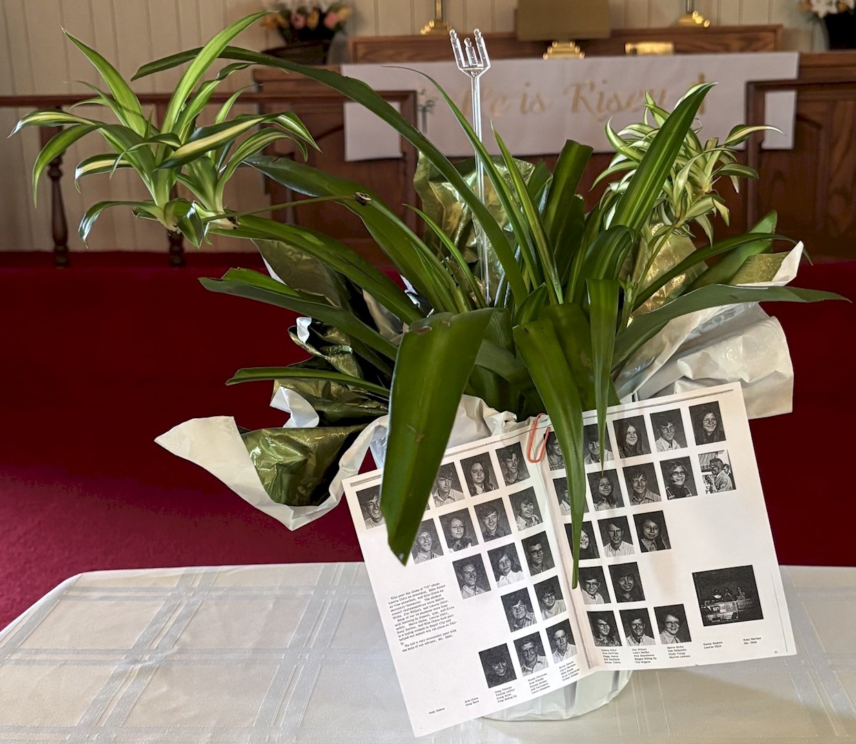 Flowers from Class of 1973