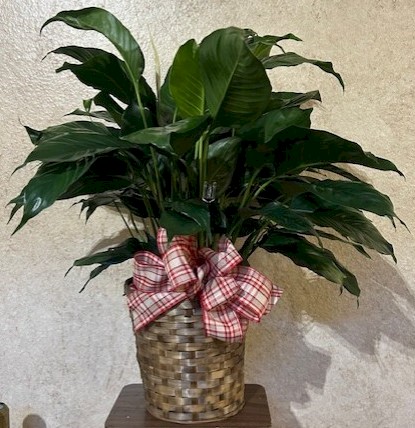 Flowers from Mitch and Corinne; Colt and Camryn; Blake and Randi; and Austyn and Addi