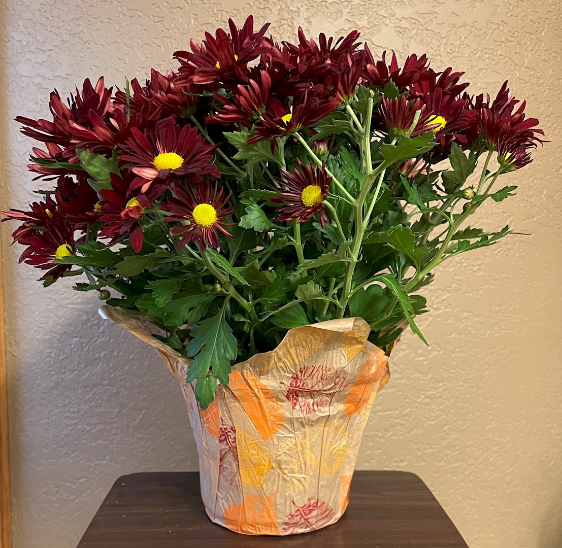 Flowers from Dakota County Pharmacy