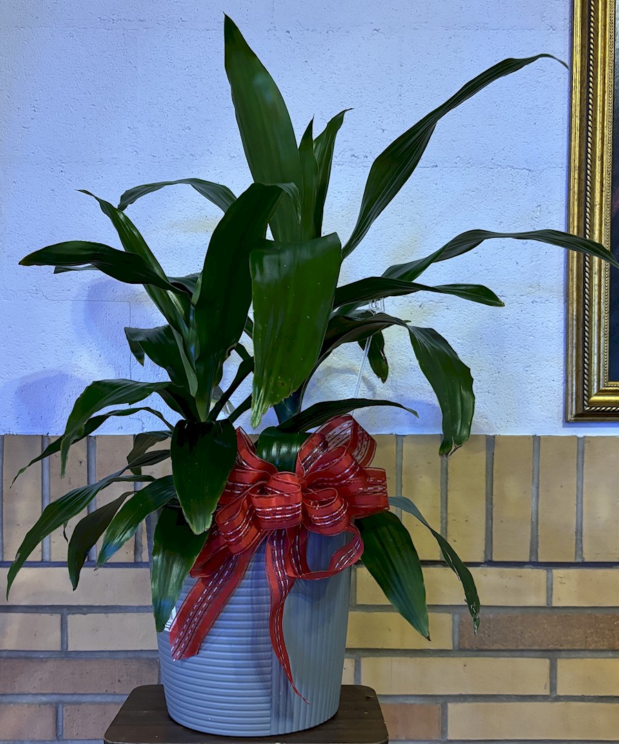Flowers from Burns Family; Cook Family; and Blumer Family