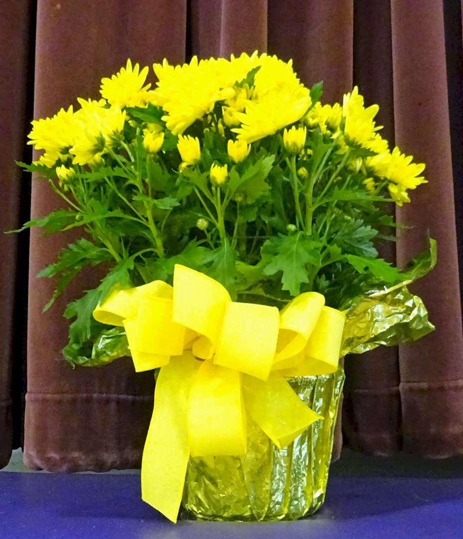 Flowers from The Bauman Family - Ben, Angel, Riley, and Allie