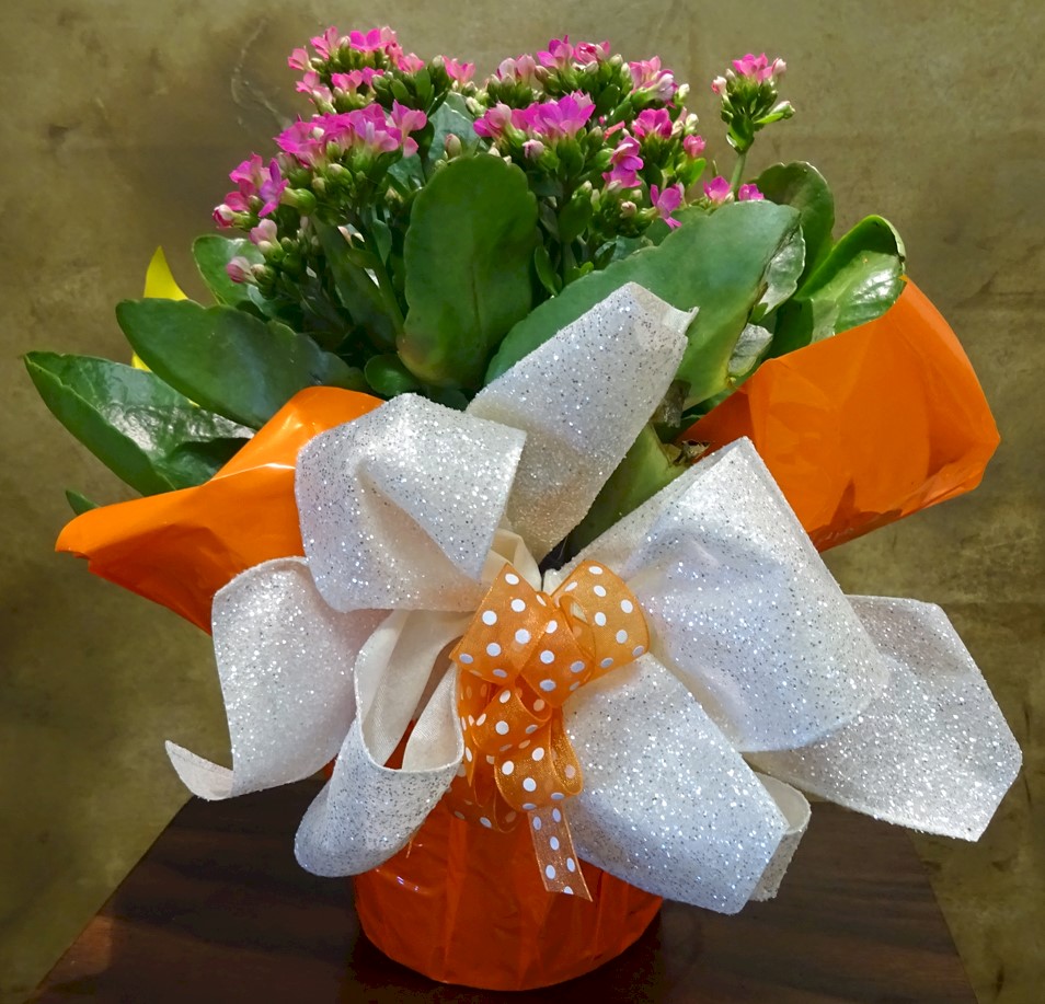 Flowers from Dakota Country Pharmacy