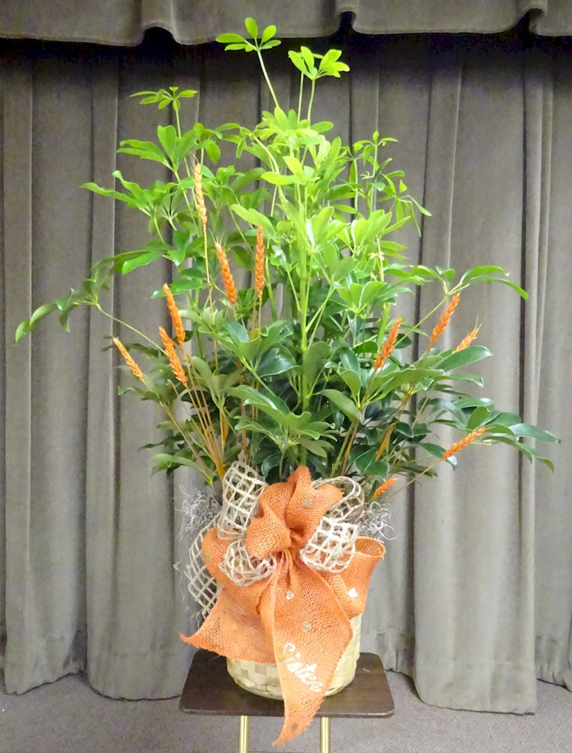 Flowers from Family - "Sister" - from your brother, sister, nieces, nephews, and spouses