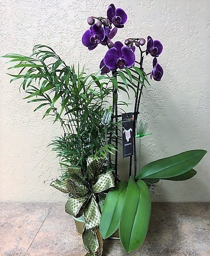 Flowers from Bob Rankin; Andy and Jill Rankin; and Drew and Katie Venard and Families