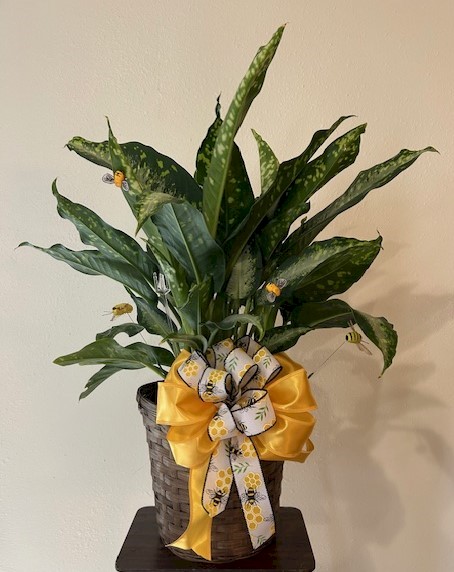 Flowers from Kadoka Nursing Home
Residents, Staff and Board of Directors