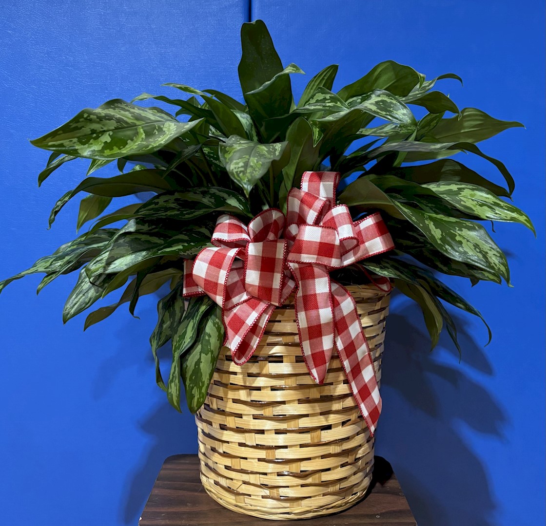 Flowers from Sharon, Chuck, Jesse, and Jen