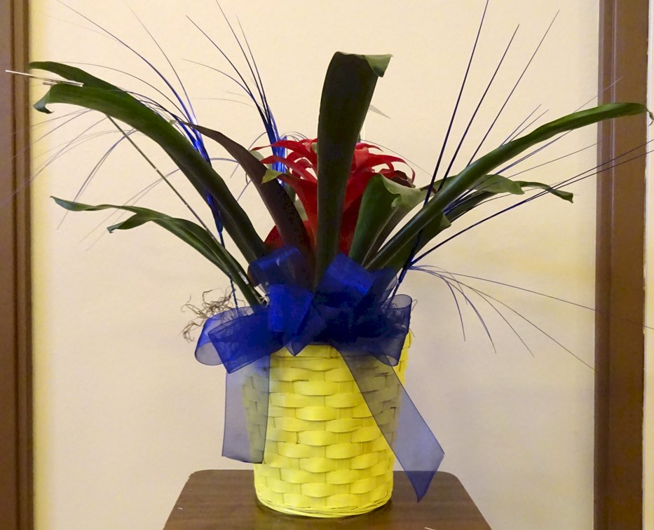 Flowers from Your loving sisters: Jackie and Nicole
