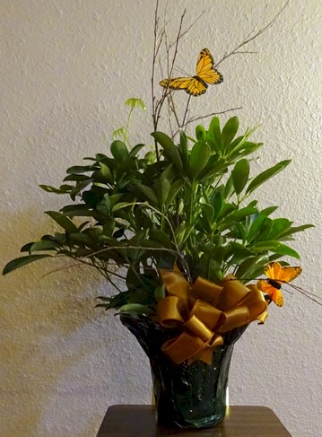 Flowers from Cheryl Lind, Cody & Janet Lind, Betsy Lind