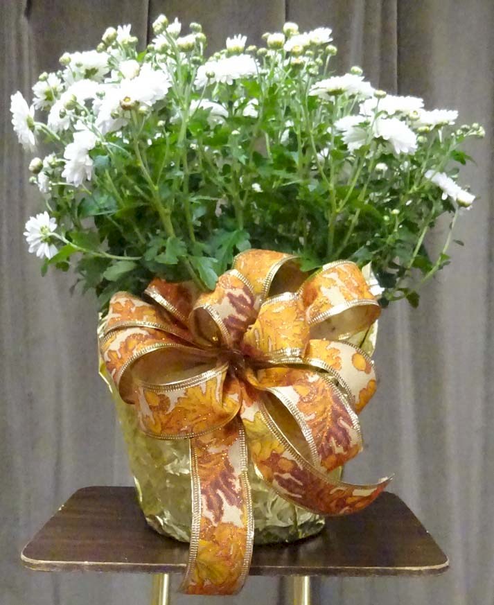 Flowers from Dakota Country Pharmacy
