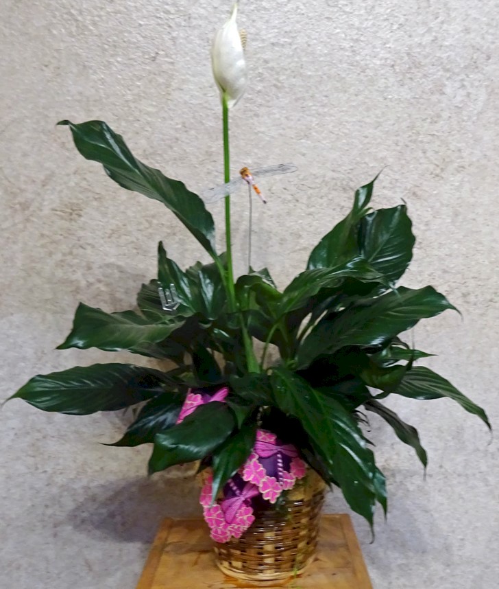 Flowers from Bret and Jannele