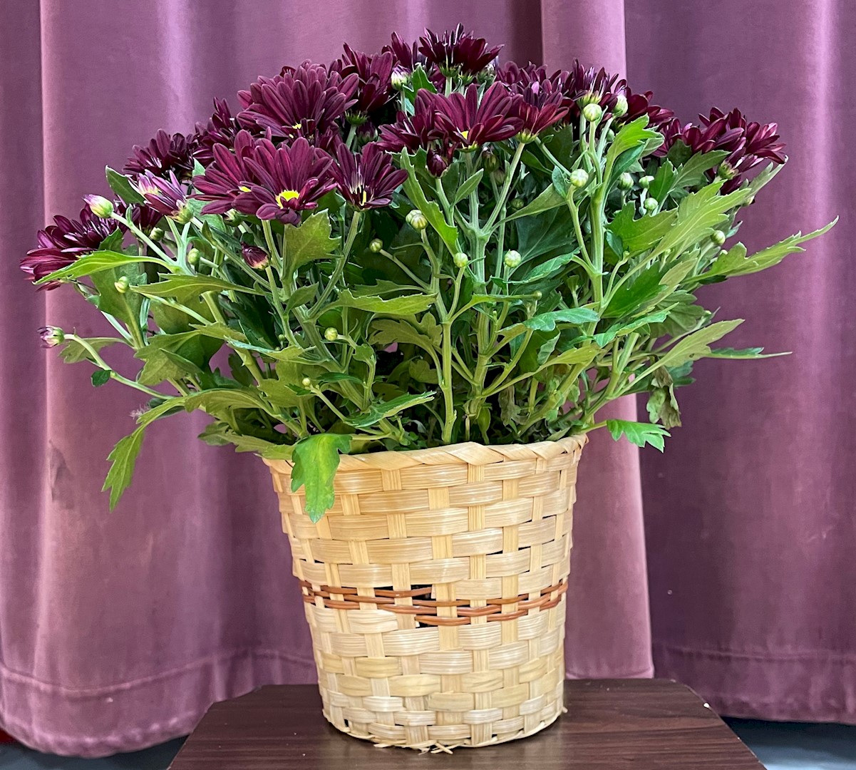 Flowers from Jake and Sarah VanderMay and Kids