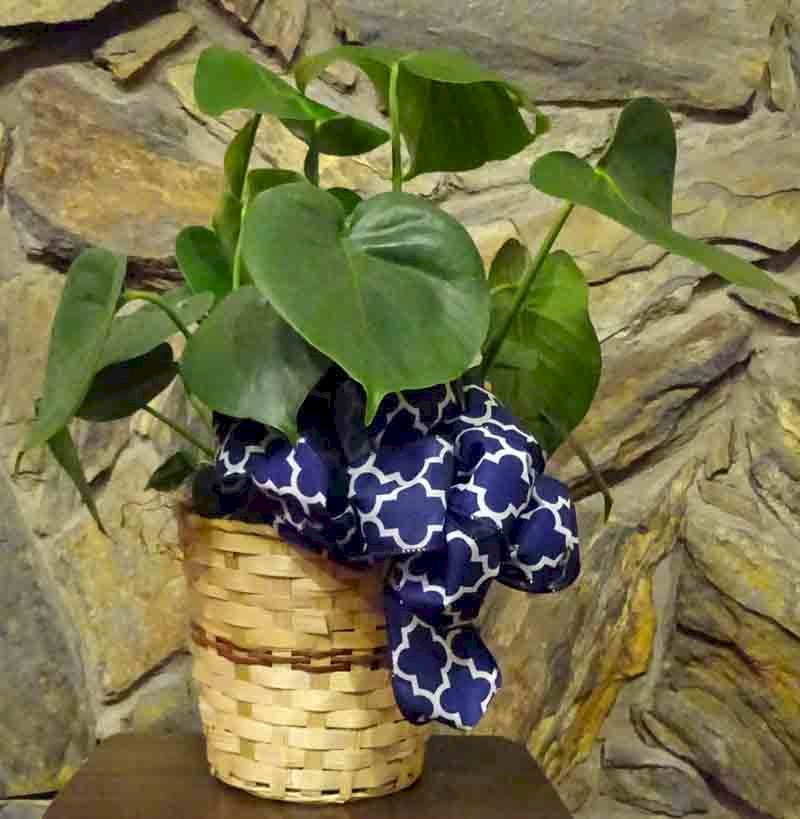 Flowers from Ron and Connie Twiss