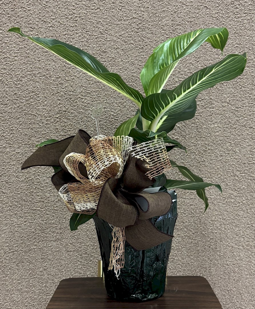 Flowers from WHS Class of 1986