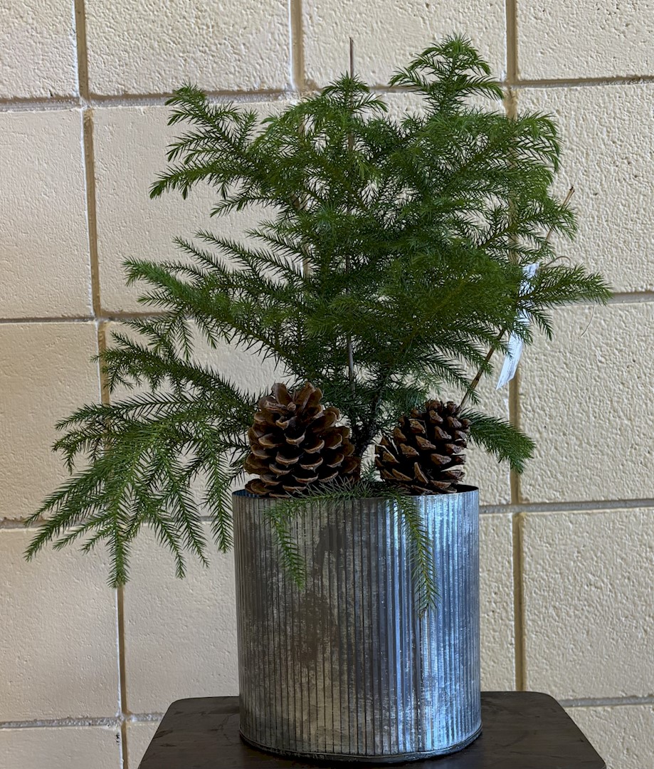 Flowers from Your Morrison Family at Fall River Health - Kitchen Staff