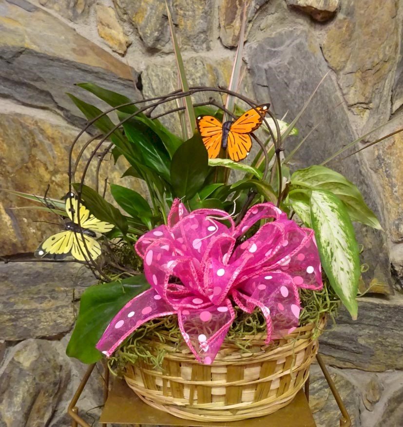 Flowers from The Haakon School Staff - Sunshine Fund