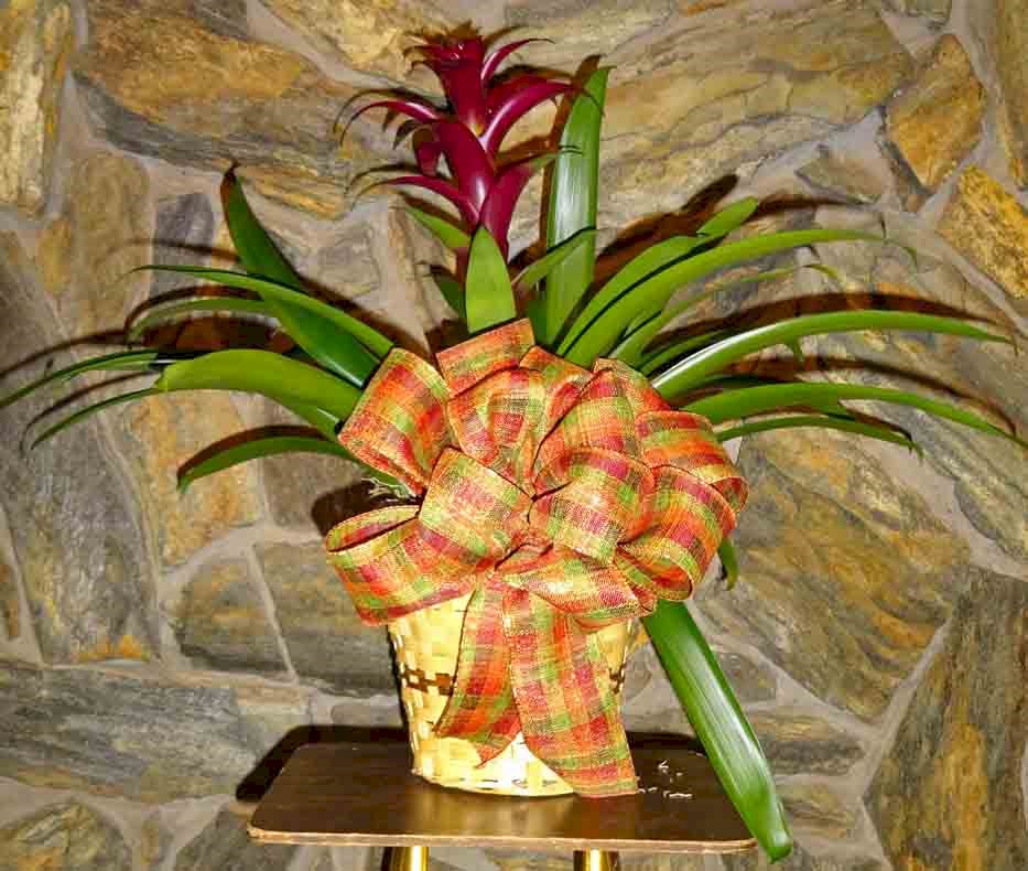 Flowers from John and Diane