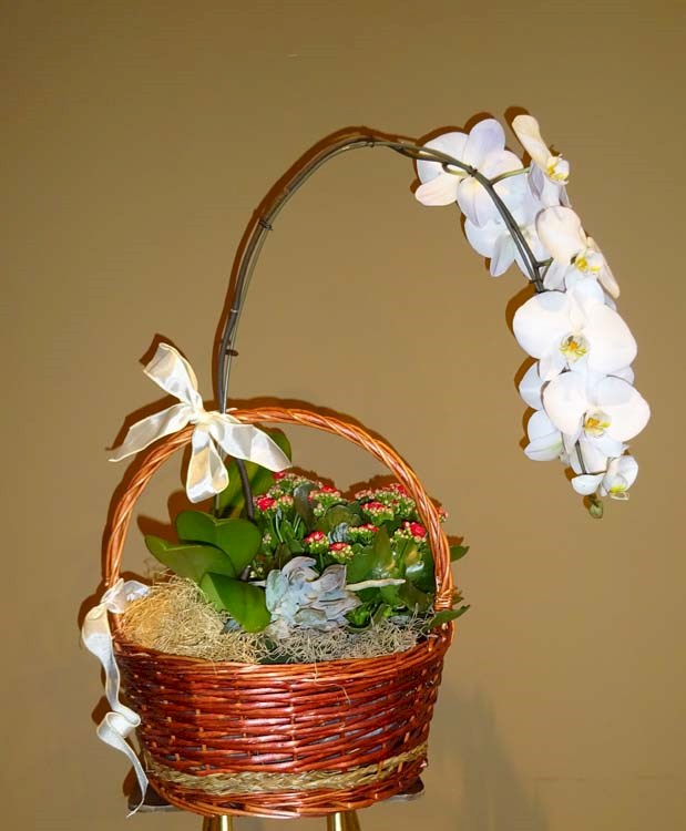 Flowers from Ron Diekman