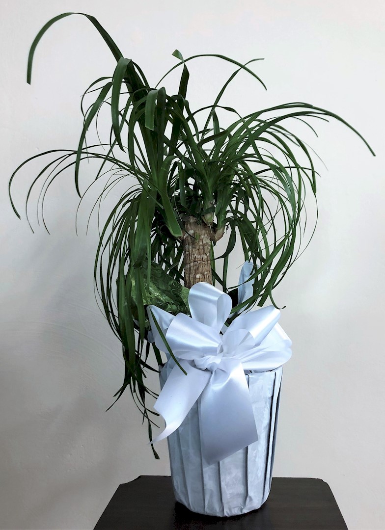 Flowers from Kadoka Area School Staff, Administration, and Board of Directors