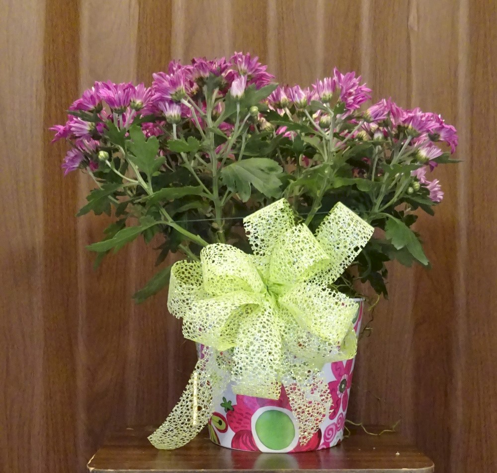 Flowers from Dakota Country Pharmacy