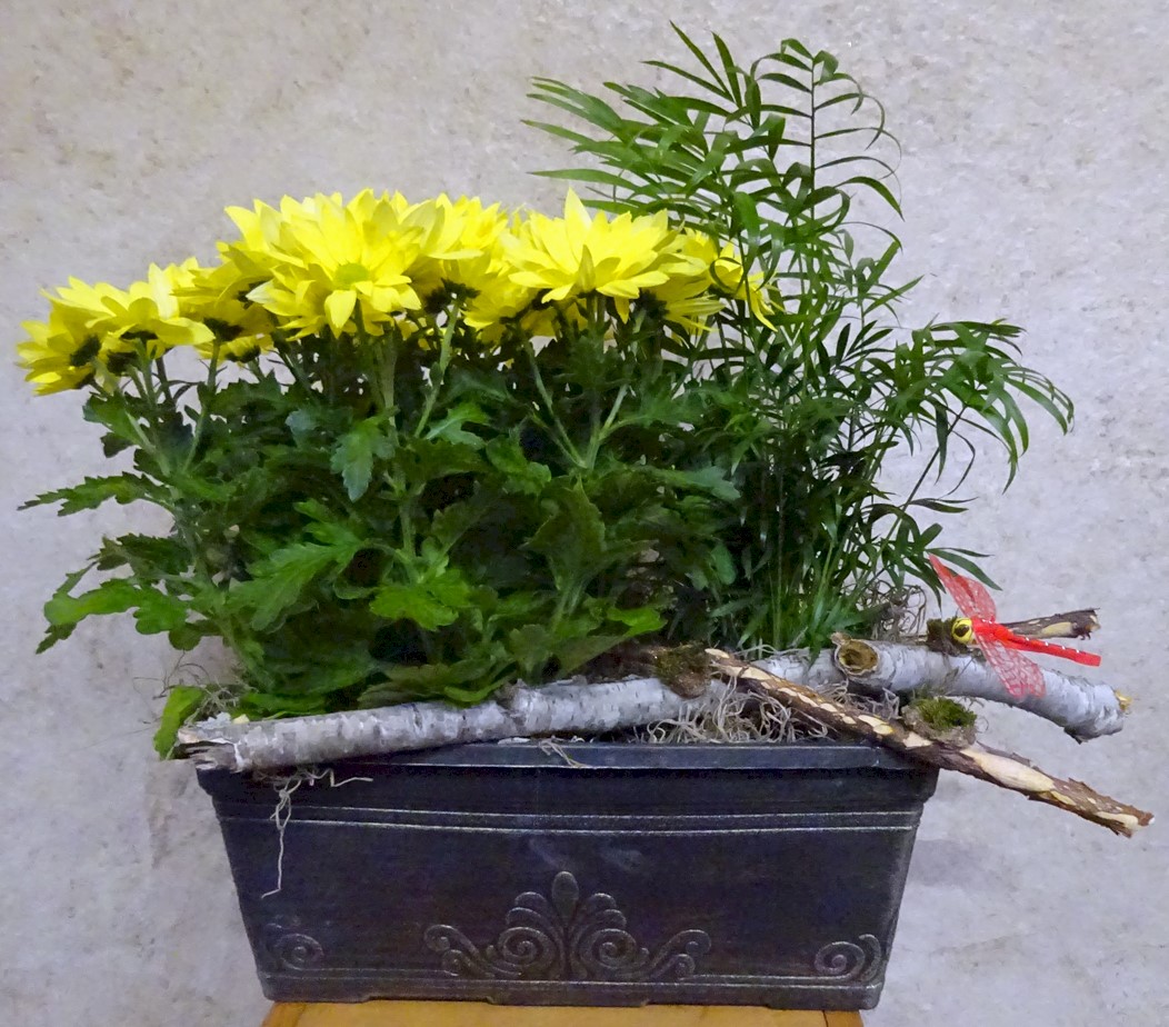 Flowers from The Kelly Girls Family - Loretta, Kathern, Rosemary, and Dana
