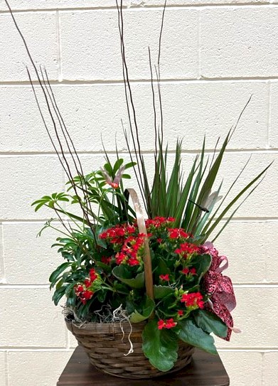 Flowers from WHS Class of 2001