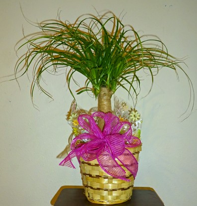 Flowers from Security 1st Bank Directors and Employees
